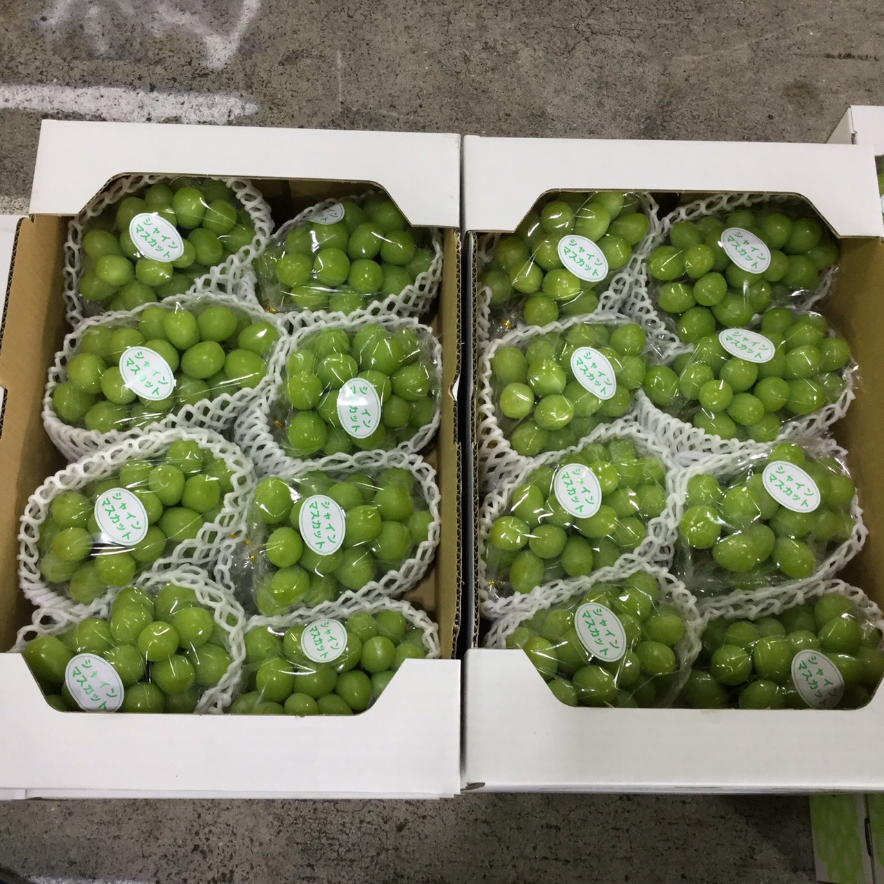 果実部ギャラリー画像6