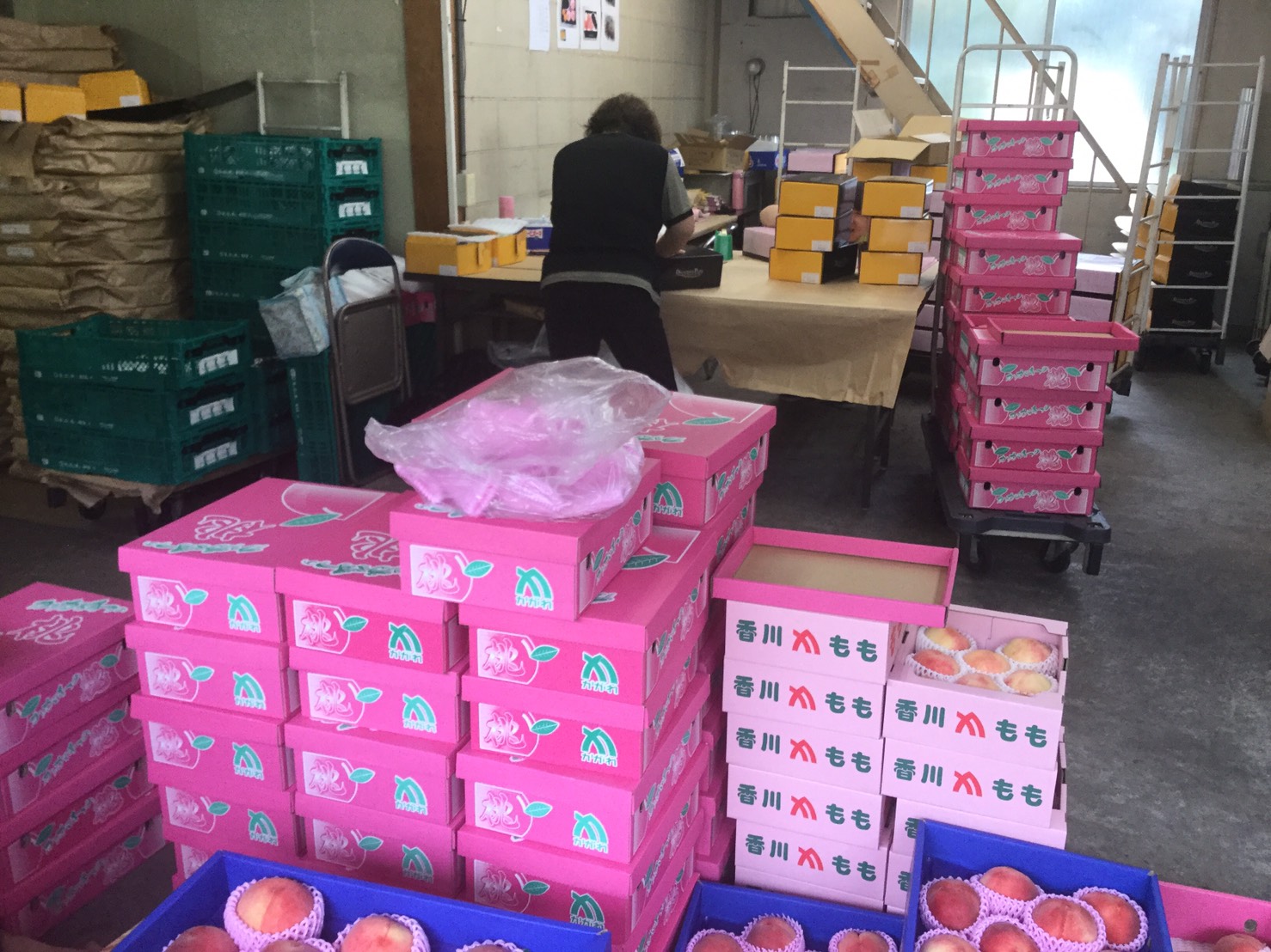 P.C.のぞみの様子