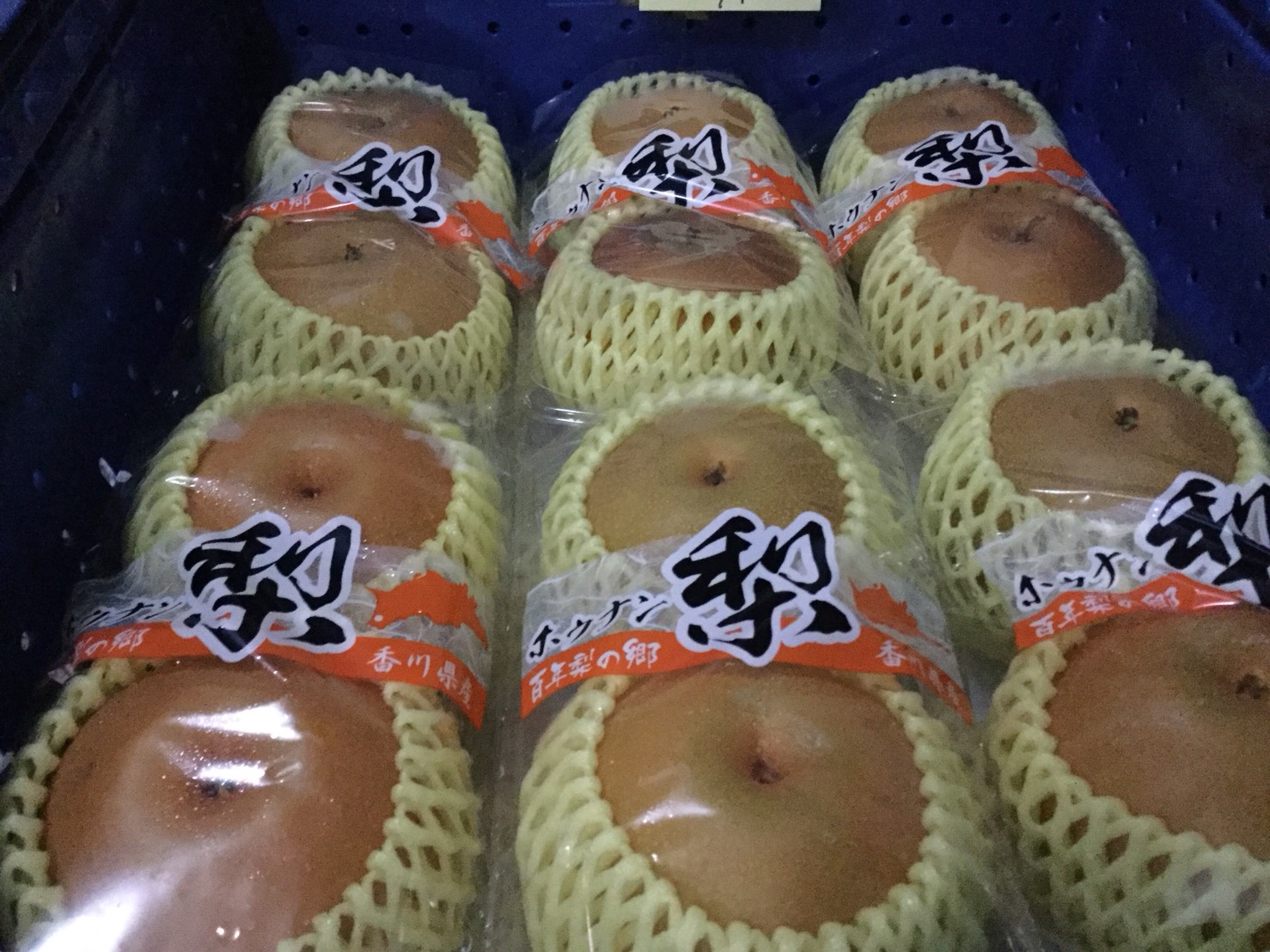 P.C.のぞみギャラリー画像2