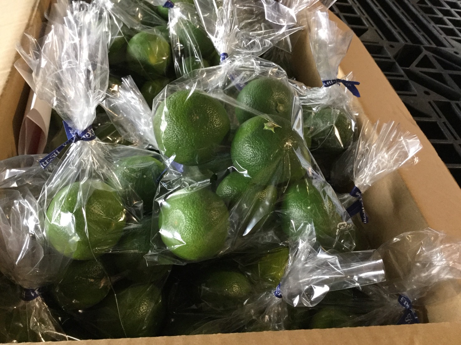 P.C.のぞみギャラリー画像3