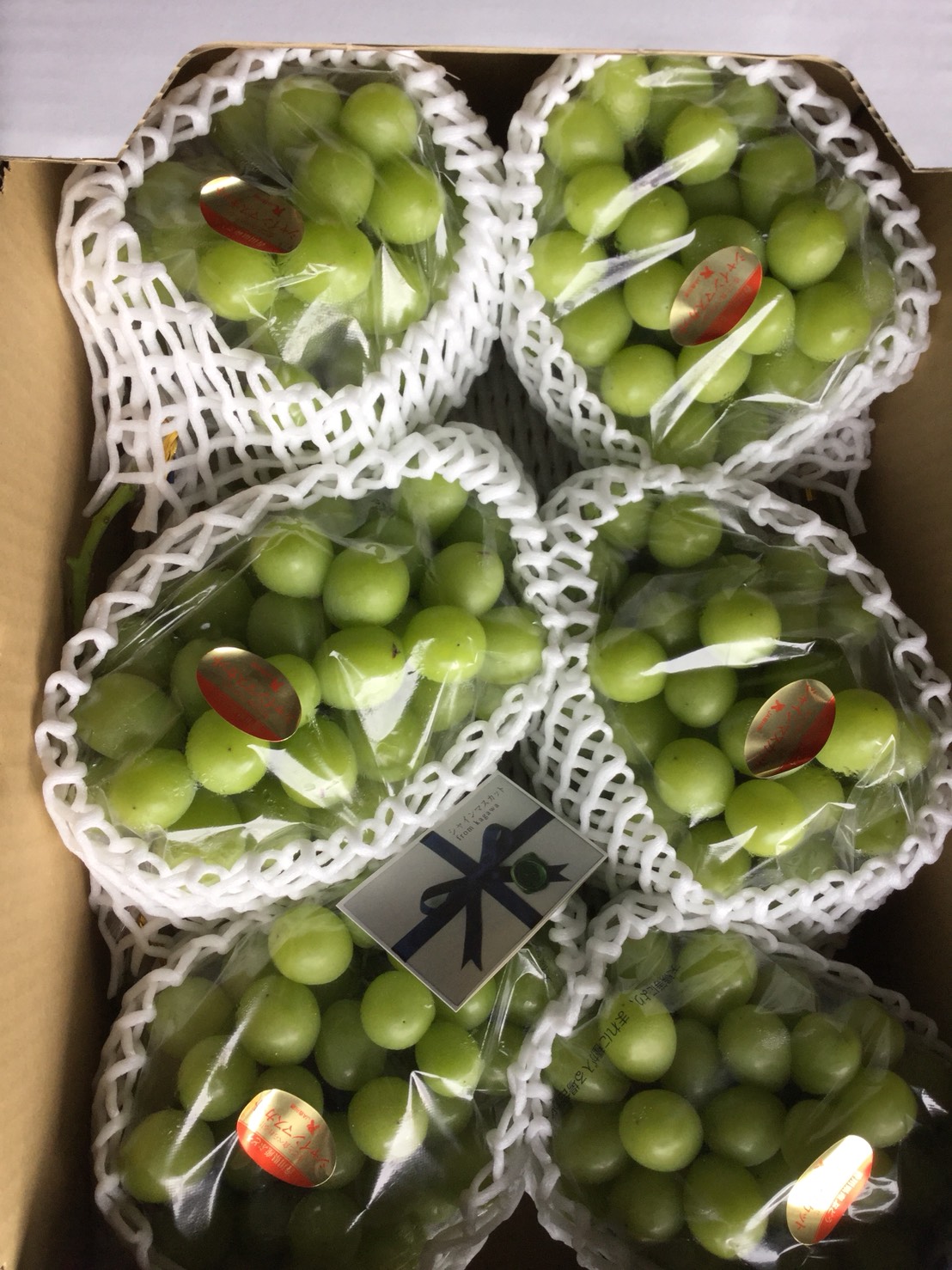 P.C.のぞみギャラリー画像4