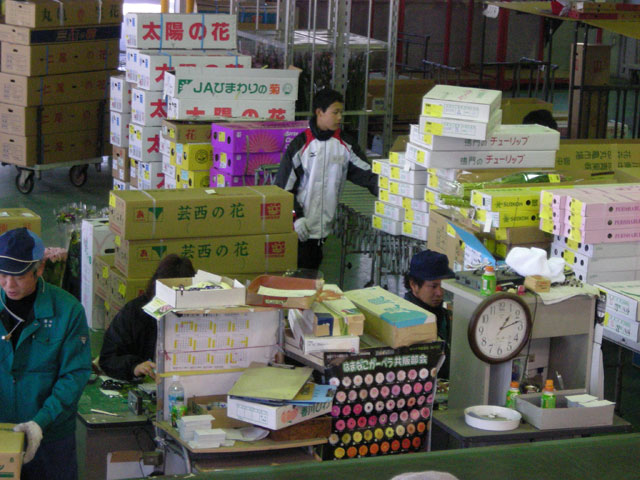 セリ体験の様子