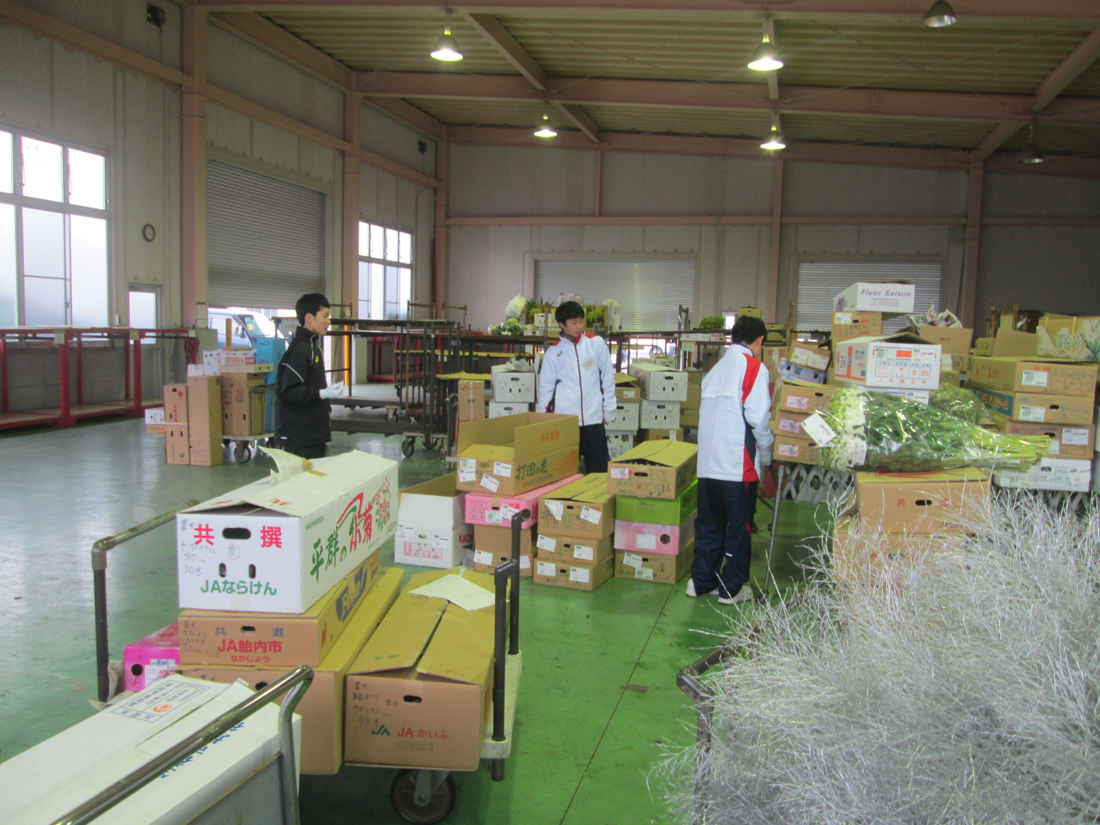 仕分け・陳列作業の様子